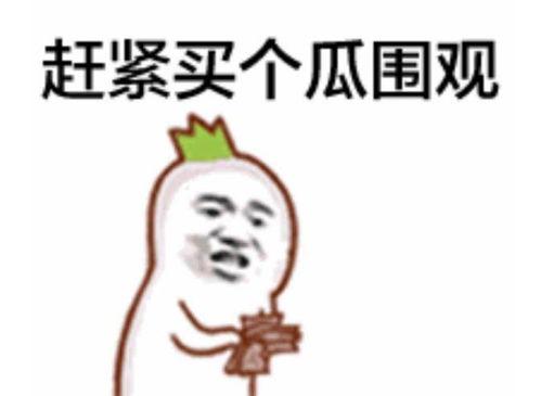 吃瓜的表情如何回复,揭秘网络社交中的趣味与智慧